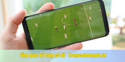 Trangcadobongda.lat - Top trang cá độ bóng đá số 1 năm 2026